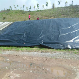 钦州HDPE土工膜|儒风土工|批发HDPE土工膜