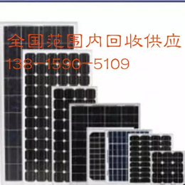 河北省硅片回收供应 电池板组件回收13815905109