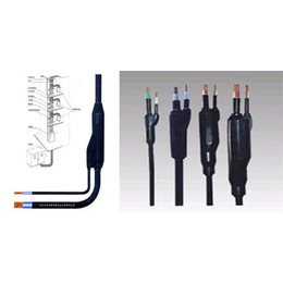 预分支电缆|预分支电缆厂家|阳谷电缆集团缩略图
