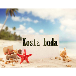 Kosta boda  大品牌商标转让   价格实惠