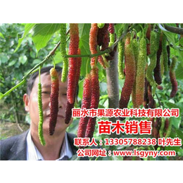 上海水果苗|水果苗好品种|果源农业