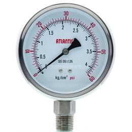精诚制冷设备、氨用压力表类型、氨用压力表