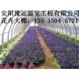 洛阳建造一亩低成本的花卉大棚需要多少钱