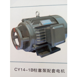 江苏双菊CY14-1B柱塞泵电机缩略图