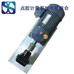 北京*齿轮计量泵加电机组合配套 可配不同计量泵