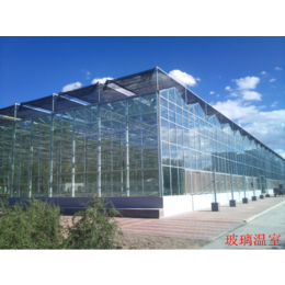 玻璃智能温室 V12-FH型Venlo式3屋脊温室大棚