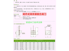 眀杆式铸铁闸门