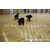 木地板维修|五环体育(****商家)|上海木地板维修缩略图1