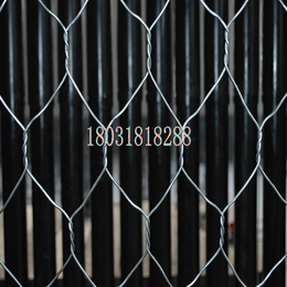 石森石笼网生产厂家 格宾笼 铅丝笼 雷诺护垫 堤坡防护网 缩略图