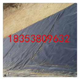 重庆垃圾填埋场覆盖hdpe防渗土工膜0.75mm价格缩略图