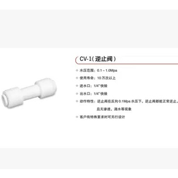 杭州科博生产厂家 纯水机一字型双通逆止阀接头 2分口止回阀缩略图