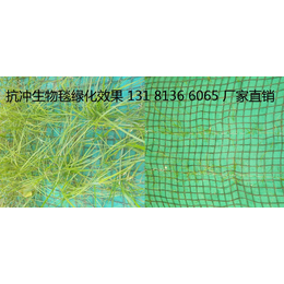 *冲生物毯厂家 植物纤维毯边坡绿化