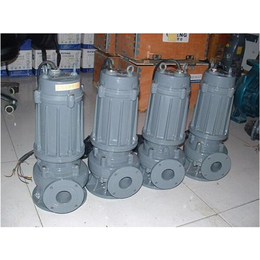 山东博水水泵安装公司(图)|山东博水水泵安装维修价钱|博山机电