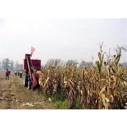 延吉市大型玉米收割机|晨光机械|大型玉米收割机厂家