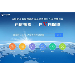 国互网百度信誉北京*代理商
