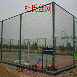 厂家*体育场护栏体育围网球场护栏缩略图