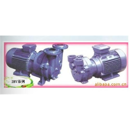 水环泵,惠州真空泵维修(在线咨询),博罗810W水环泵