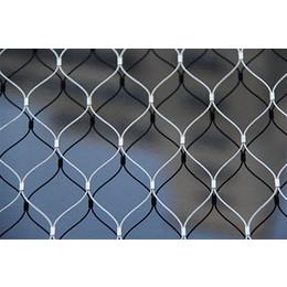 厂家*(图)|钢丝绳网卡扣|钢丝绳网缩略图