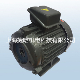 YQB100L1-4-2.2KW内轴油泵电机