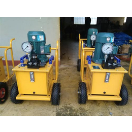 电动液压泵、鼎益液压、双作用电动液压泵