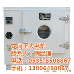 电热鼓风干燥箱,龙口电炉总厂,101A-3电热鼓风干燥箱
