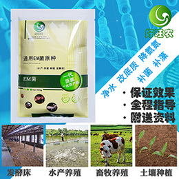 养殖四大家鱼怎么使用生物EM菌