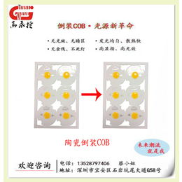 倒装 倒装陶瓷 大功率光源 灯珠 高光效 ****产品缩略图