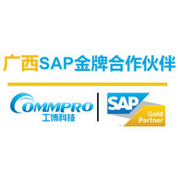 广西南宁SAP代理商广西ERP公司广西SAP公司SAP服务商