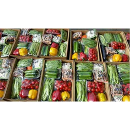 蔬菜礼盒、蔬菜礼盒包装、喜英农业(多图)