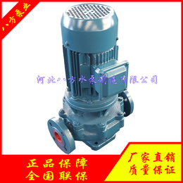 立式管道泵循环排水泵IS*00-300B锅炉热水泵
