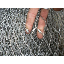 动物园*钢丝绳网,钢丝绳网,和美丝网(查看)