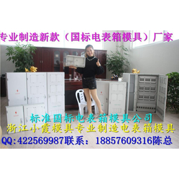 台州模具公司 透明PC电表箱塑胶模具  配电柜塑胶模具价位