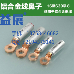 温州铝合金电缆*接线鼻子DTL-2生产厂家价格300平方
