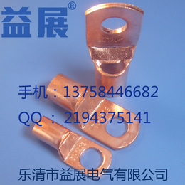  SC6-6窥口铜接线端子厂家*SC系列线鼻子大规格