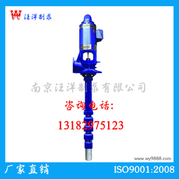 南京*LJC蓝色电动深井泵定制流量扬程深井泵厂家