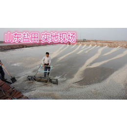 工业粗盐 精盐 粉盐 大量出售 广州厂家批发