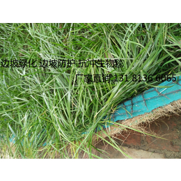 边坡绿化椰丝毯 *冲植生毯 植物纤维毯厂家