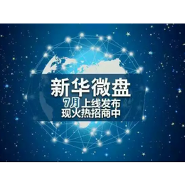 新华上海*面向全国招商个代 公代 欢迎加盟 中江国际缩略图