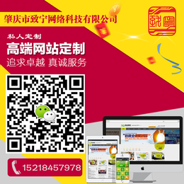 肇庆做网站****提供企业网站建设电子商城搭建微信移动互联网服务