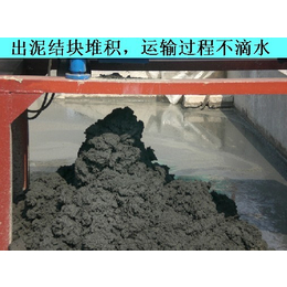 染整污泥处理设备-染整污泥处理