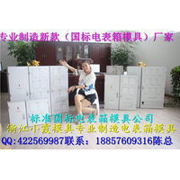 中国做塑料模具 注塑2表电表箱模具，注射2表电表箱模具价格