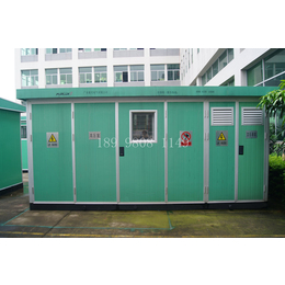 广东紫光电气提供东莞中堂一站式箱式变电站安装工程服务