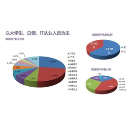 微站秦皇岛*打造微信平台,微站制作价格多少,秦皇岛点动