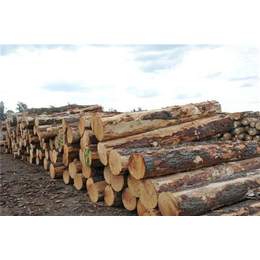 木材加工_万达木业价格低_青岛方料木材加工厂家