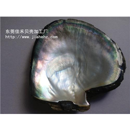 贝壳表面处理、佳禾五金加工厂、广州贝壳表面处理