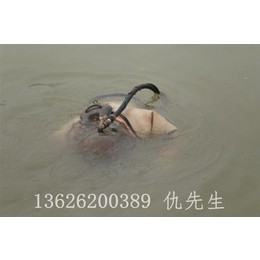 丽水水下_海能水下_水下检测