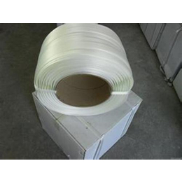 安徽聚酯纤维打包带、聚酯纤维打包带、苏州大朗实业