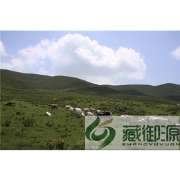 牛肉价格|藏御源|北京牛肉价格团购