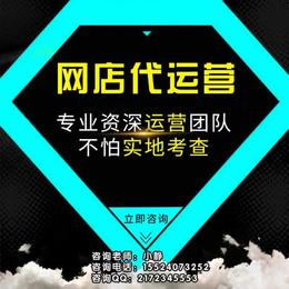 沈阳淘宝美工设计网店装修外包公司