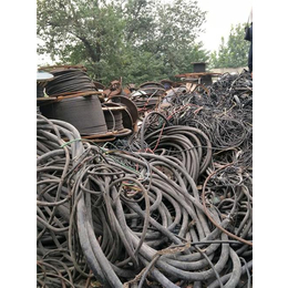 周口二手电线电缆回收_二手电线电缆回收厂家_燕兴回收